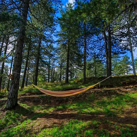 Katun & Guest house Divcibare