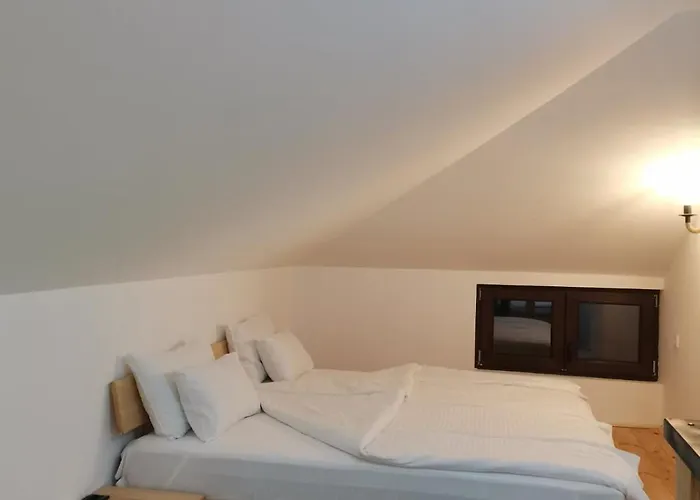 Pensjonat Katun & 4*