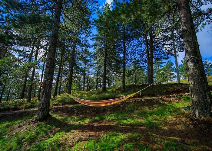 Katun & Pensjonat Divčibare